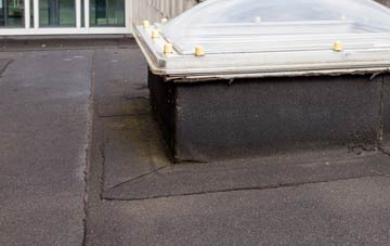 disadvantages of Ariundle flat roofs