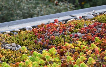 the cost of Ariundle green roof installation