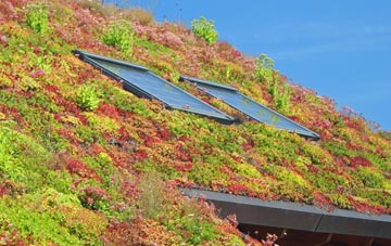 Ariundle living roof systems