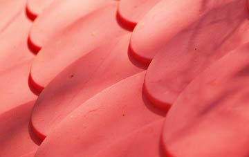 Ariundle plastic roof costs