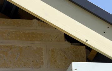 soffit repair Ariundle