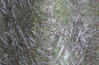 Ariundle fibreglass roof work