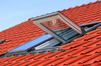 Ariundle roof window