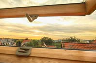 rated Ariundle roof window companies